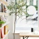Cow & Co liverpool shop interior magazine racks