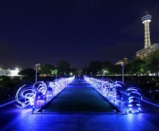 NVA's Speed of Light_copyright Amano Studio (Img 1)