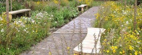 Dig the City, Manchester gardening festival, Monty Don