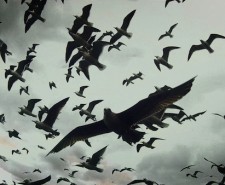 and festival 2013, digital art, film, leviathan