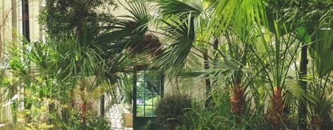 Photo of the interior of the glass pavilion, with many exotic plants