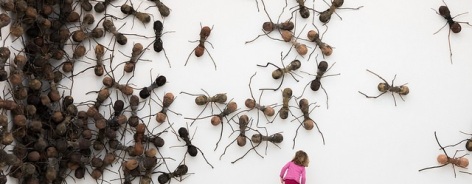 Giant ants swarm a wall