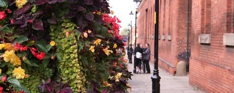 IMG_2523