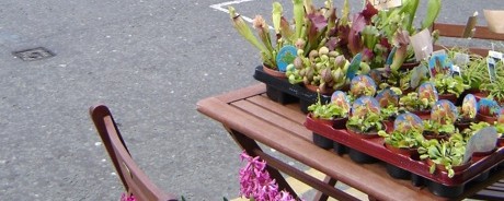 DSC01334