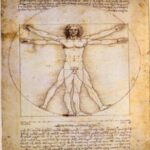 Q&A: Leonardo Da Vinci