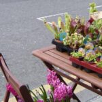 Go out and play. Things to do this Easter. 