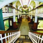 Last chance to see: The Mammals Gallery