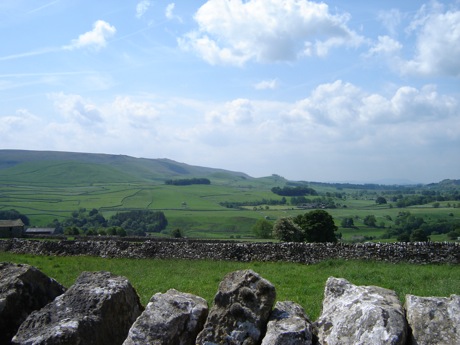 DSC01554