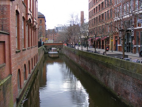 canal street by pimlico badger