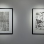 Art Exhibition