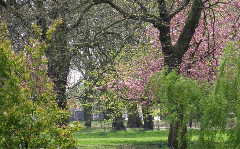 Whitworth Park, Manchester