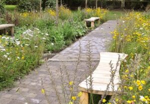 Dig the City, Manchester gardening festival, Monty Don