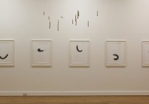 Becky Beasley, Spring Rain, Leeds Art Gallery