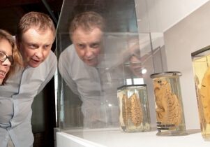 Brains: The Mind as Matter, Museum of Science and Industry, MOSI