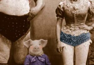 Manchester Weekender, Edmund the Learned Pig, Royal Exchange Theatre