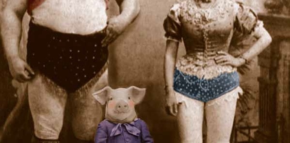 Manchester Weekender, Edmund the Learned Pig, Royal Exchange Theatre