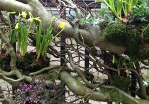 Raqib Shaw manchester art gallery feb 2013