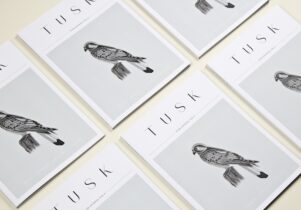 tusk volume 0 cover