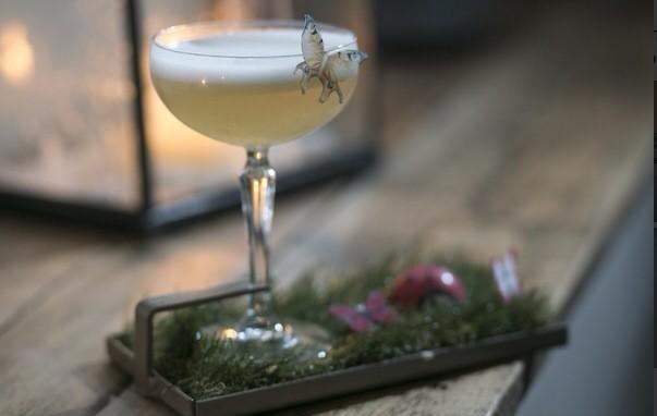 Photo of an Elixir cocktail