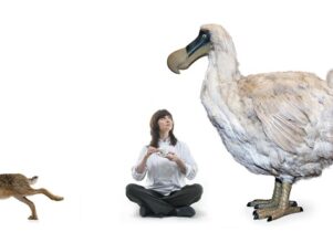 Chef Mary-Ellen McTague with dodo and hare