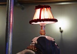 Photo of a dog lampshade in Friends of Ham.