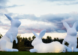 Giant white rabbits