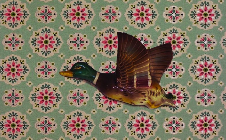 A flying duck on paisley wallpaper