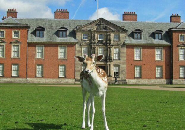 Dunham Massey