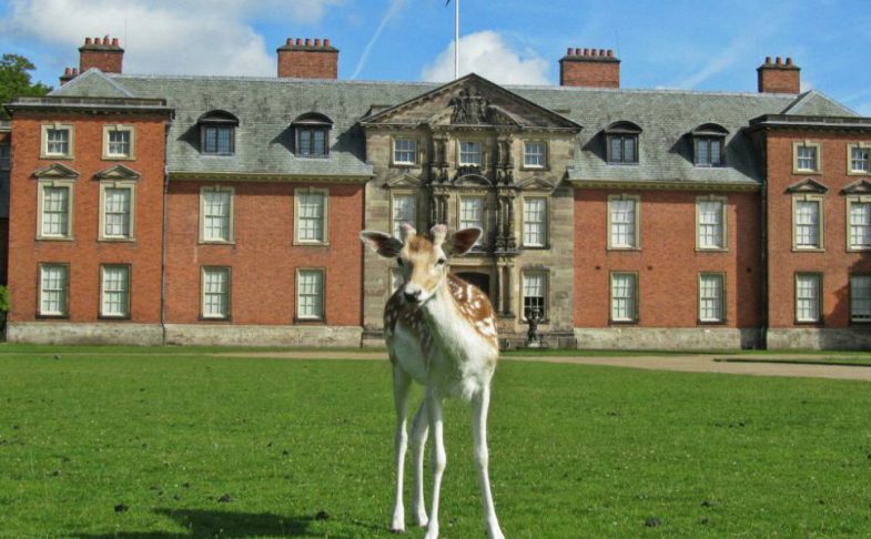 Dunham Massey