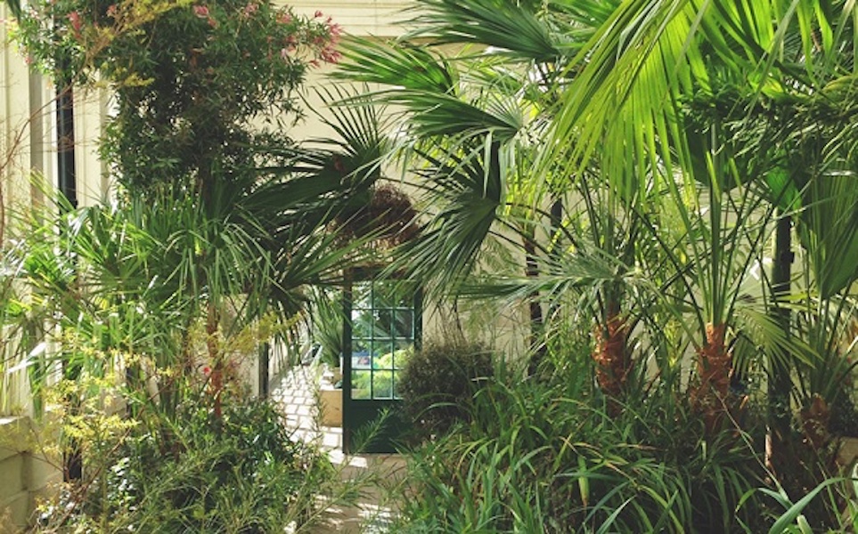 Sheffield Botanical Gardens Attractions in Sheffield Creative Tourist