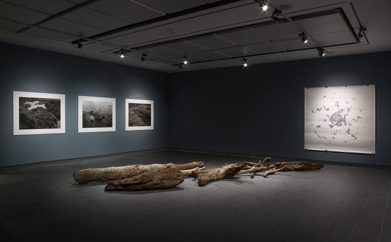 Centre for Chinese Contemporary Art CFCCA by Michael Pollard