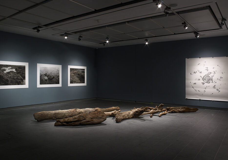 Art Galleries in Manchester and Salford The best galleries to visit