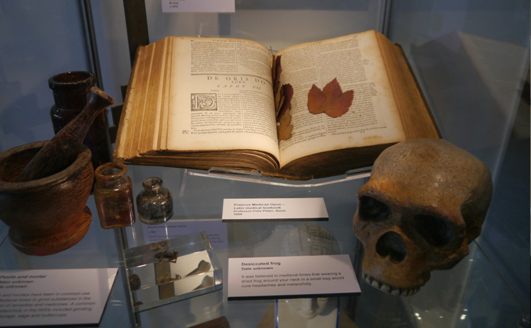 The Mental Health Museum
