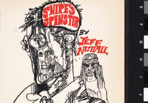 Cover of Snipes Spinster