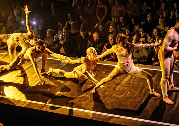 HOUSE OF SUAREZ at Queer Contact