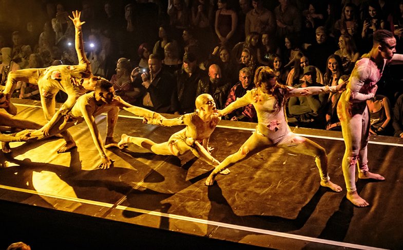 HOUSE OF SUAREZ at Queer Contact