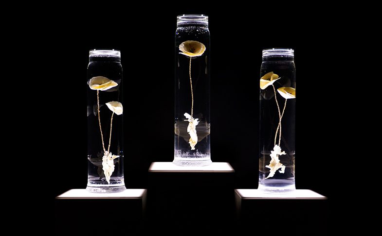 Paddy Hartley's artwork from the EDIT 01 exhibition at The Lowry