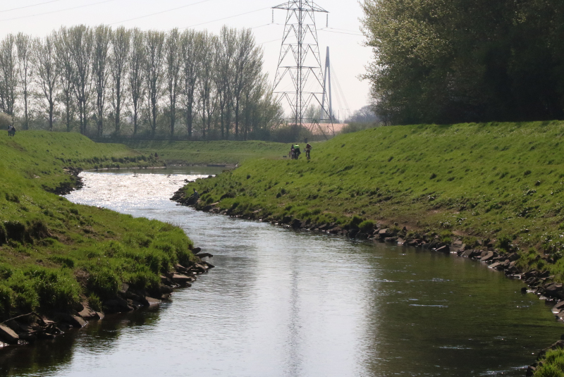 Sale Water Park and Chorlton Ees Creative Tourist