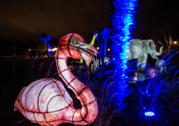 The Lanterns at Chester Zoo