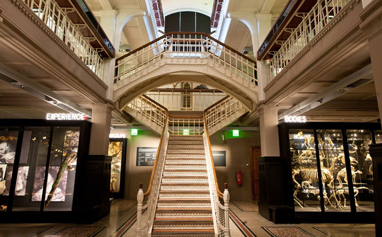 Manchester Museum | Attractions in Manchester | Creative Tourist