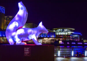 Red Squirrel at Lightwaves