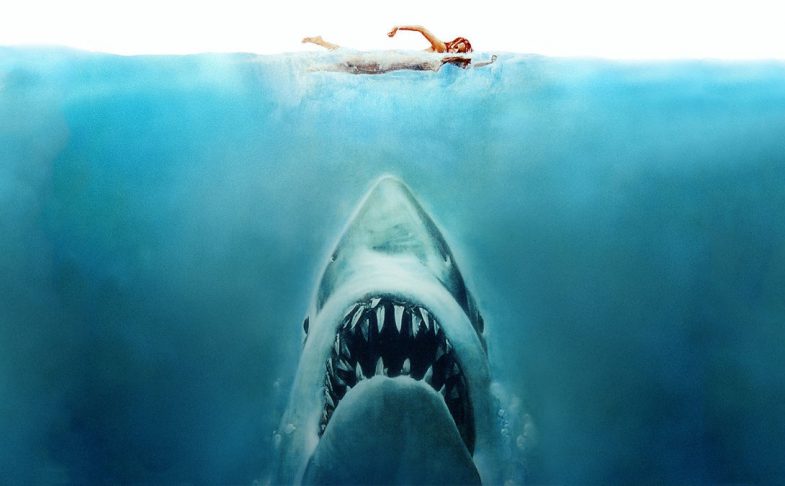 Just when you thought it was safe to go back into the water, The Village Screen Quarantine Cinema Take 4 brings us 1975's classic, Jaws.