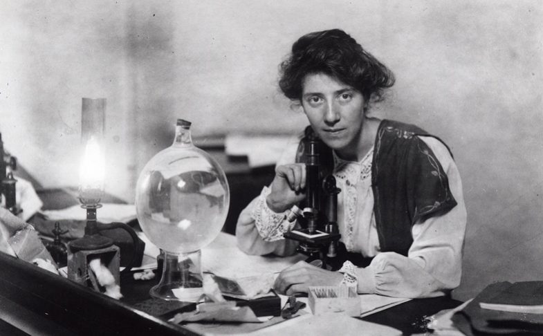 From Petticoats to Microscopes, courtesy of Manchester Museum, part of Wonder Women 2018