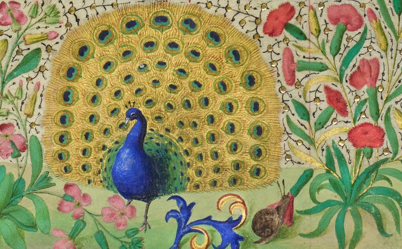 The Alchemy of Colour at The John Rylands Library