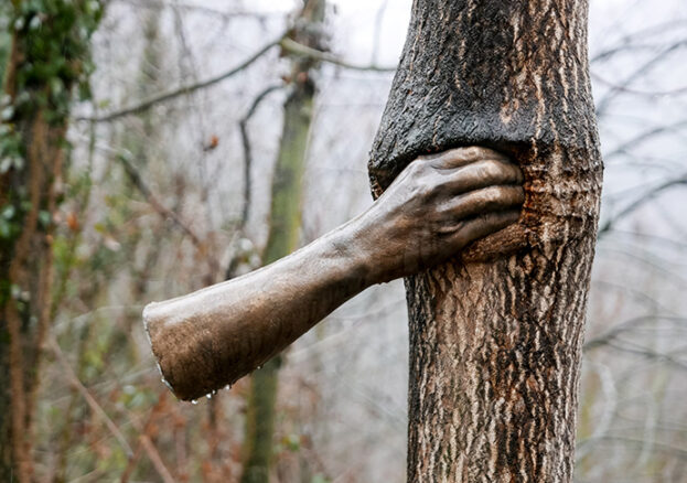 Giuseppe Penone, Continuera a Crescere Tranne che in quel Punto. 1968-2003. Courtesy the-artist. Photo © Archivo Penone. Yorkshire Sculpture Park (YSP)