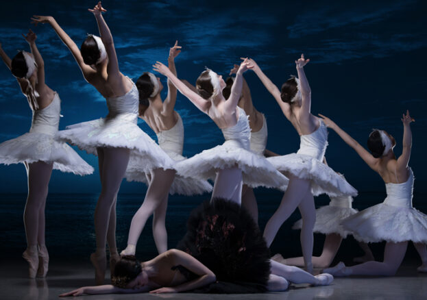 My First Ballet: Swan Lake