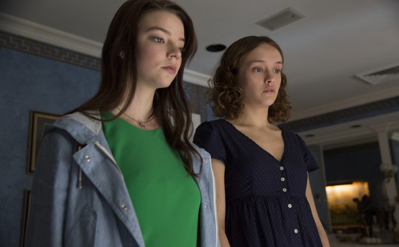 Thoroughbreds