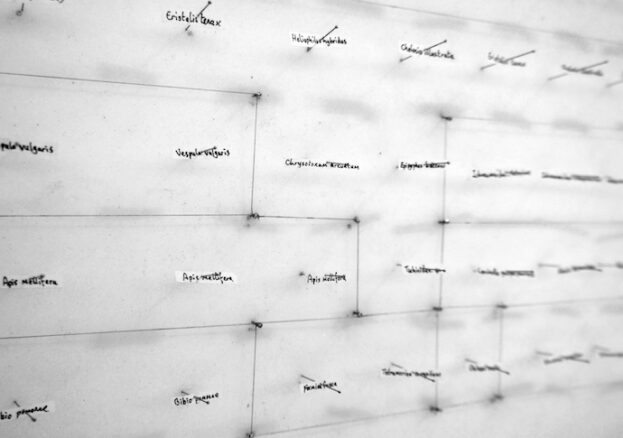 Natural:History (a fable of progress) Or ‘oh no, we’ve killed the last unicorn’ at Gallery Oldham