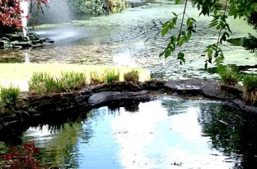 Sefton Park