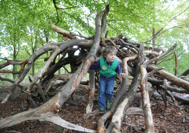 Log Pile at Dunham Massey